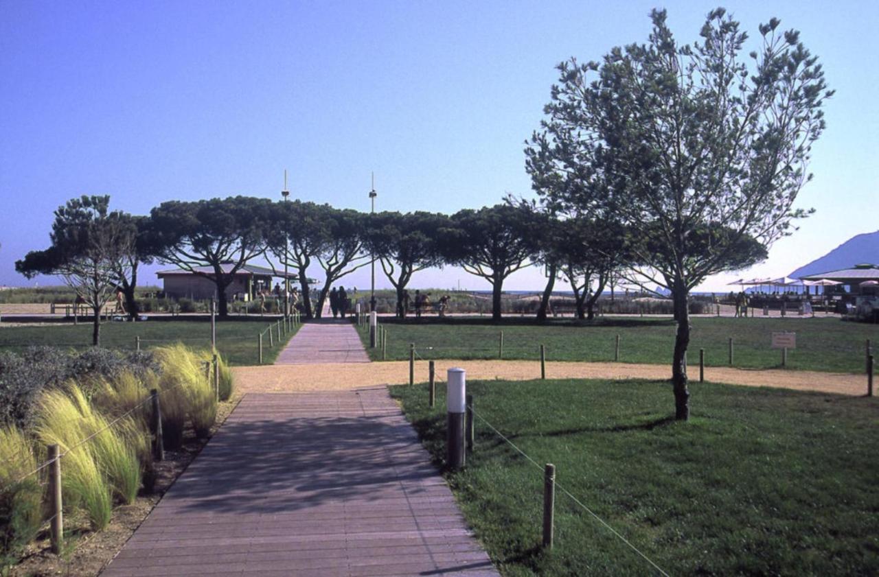 Charmant Appart. 500M Plages Des Sablettes La Seyne-sur-Mer Exterior photo
